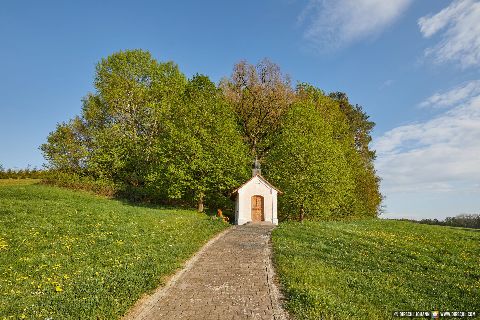 Gemeinde Wurmannsquick Landkreis Rottal-Inn Hickerstall Kapelle Landschaft (Dirschl Johann) Deutschland PAN